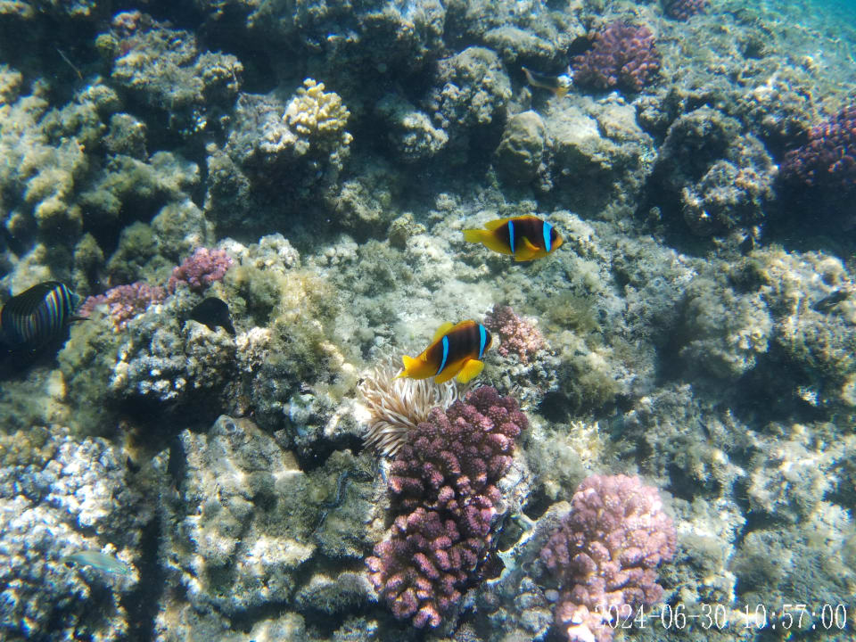 Sport & Freizeit Cleopatra Luxury Resort Makadi Bay