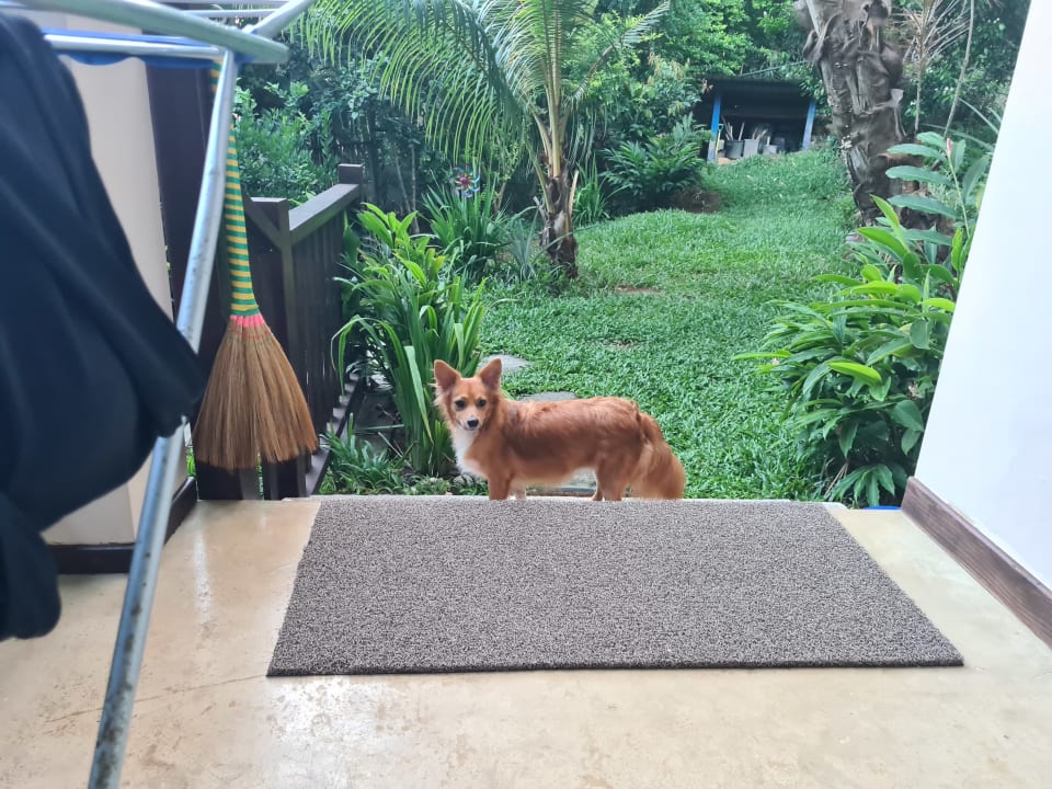 Gartenanlage Fler Payanke Apartment