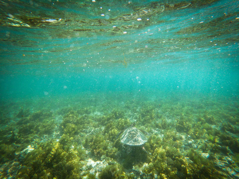 Sport & Freizeit Radisson Blu Poste Lafayette Resort & Spa - Adults only