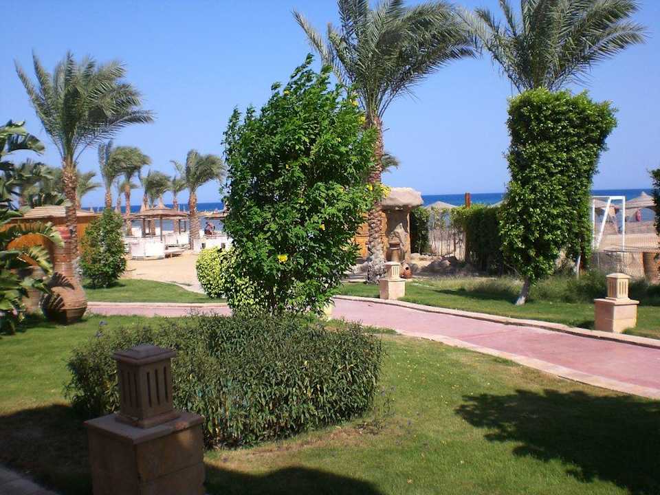 Ausblick Superior Zimmer Pickalbatros Palace Resort