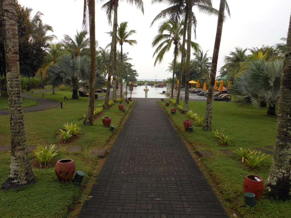 Pool Hotel Angsana Bintan