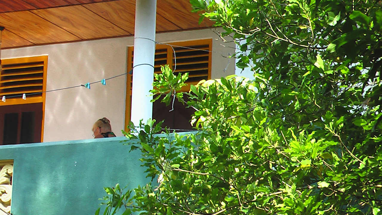 Außenansicht Sunshine Guesthouse