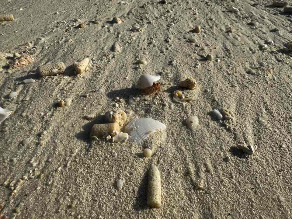 Strand Adaaran Select Meedhupparu Island Resort - Premium All Inclusive