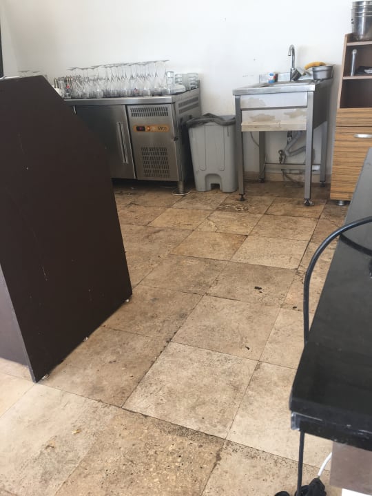 Gastro Flora Garden Beach Hotel ( 16+ Adults Only )