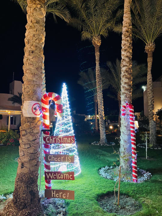 Gartenanlage Hurghada Long Beach Resort