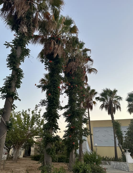 Gartenanlage Euro Village Achilleas Hotel