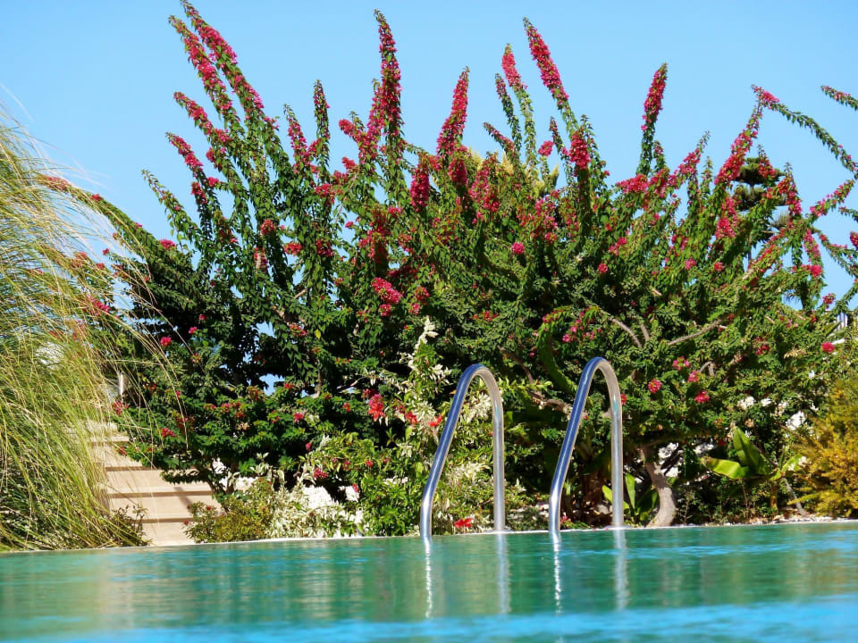 Poolanlage Fairmont Holiday Village