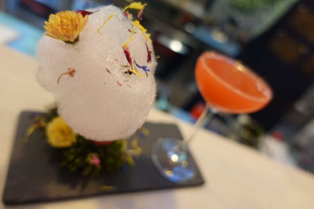 Bar Rosevia Friends & Family Resort