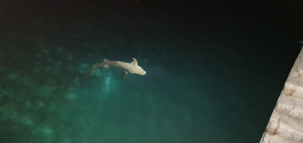 Strand Kuredu Island Resort & Spa