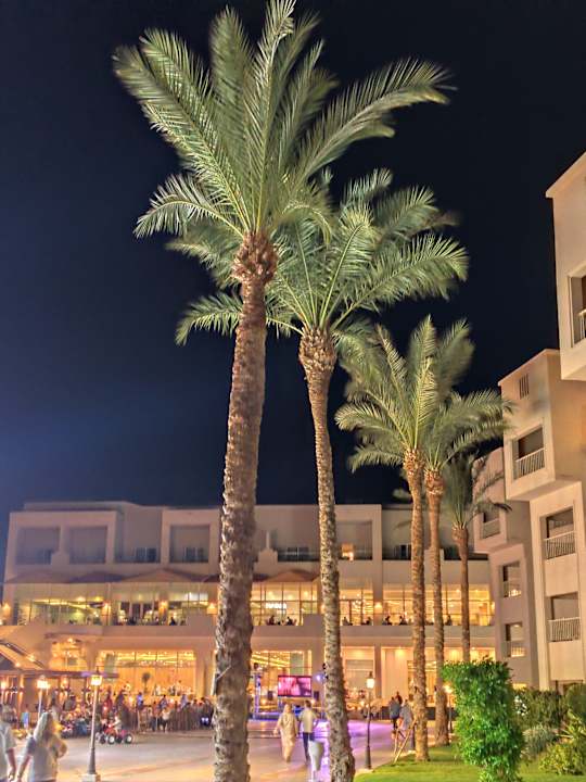 Pool Jaz Soma Beach
