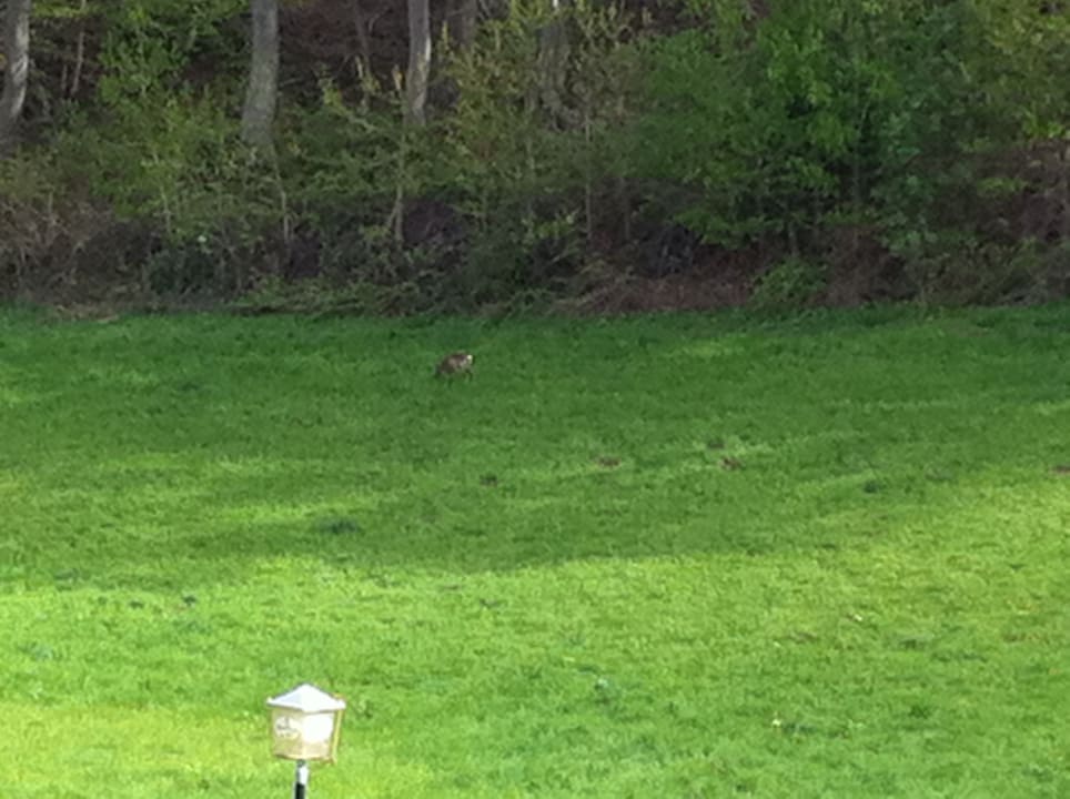 Ausblick Landpension Hotel Dröge