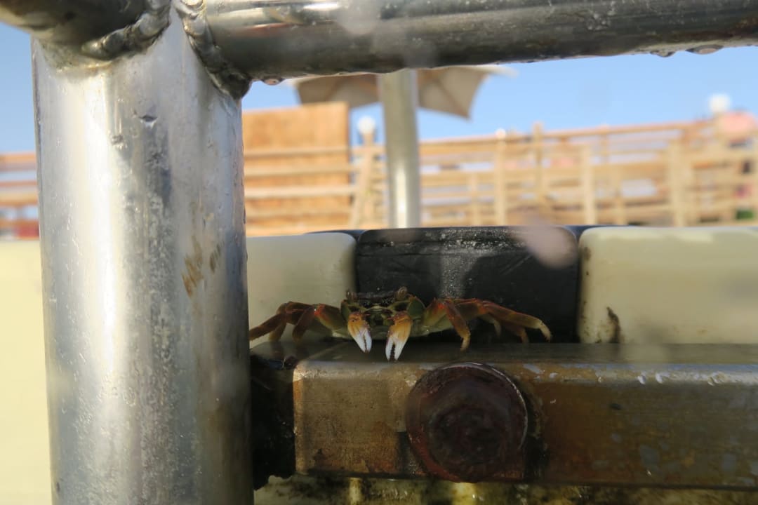 Sonstiges Cleopatra Luxury Resort Makadi Bay