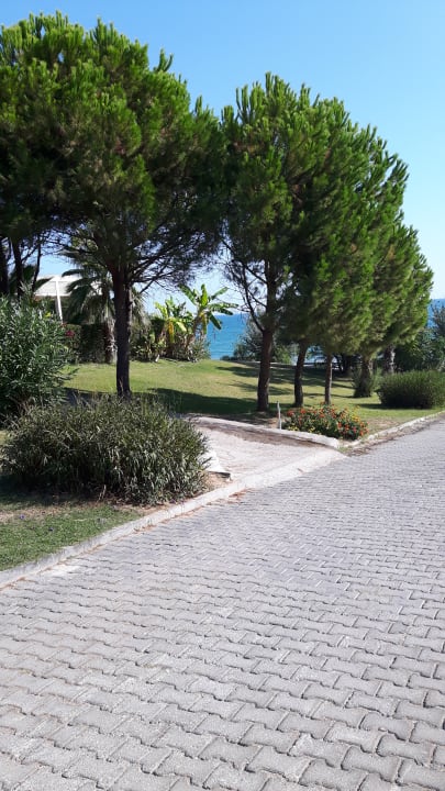 Sonstiges Club Sidelya Hotel