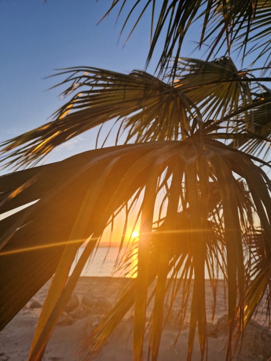 Ausblick The Breakers Diving & Surfing Lodge