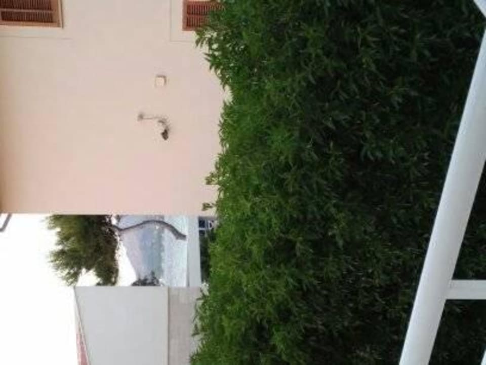 Von der Terrasse aus Ferienwohnung Carrer de les Aguiles