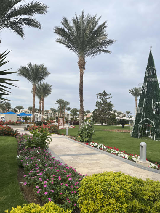 Gartenanlage Pickalbatros Dana Beach Resort - Hurghada