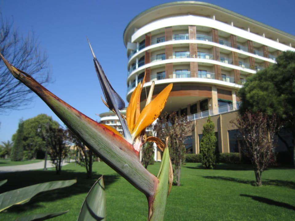 Garten Voyage Belek Golf & Spa