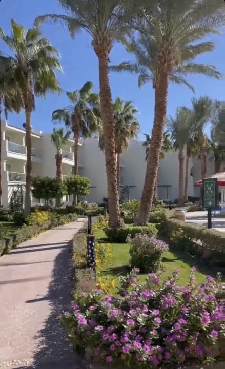 Gartenanlage Amarina Abu Soma Resort & Aquapark