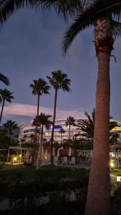 Gartenanlage Hotel Riu Palace Tenerife