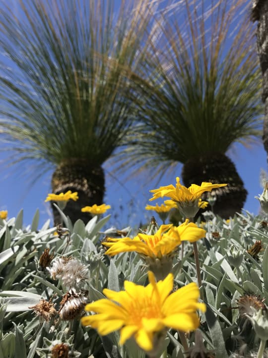 Außenansicht Aquagrand Artistic Luxury Beach Resort - Adults only