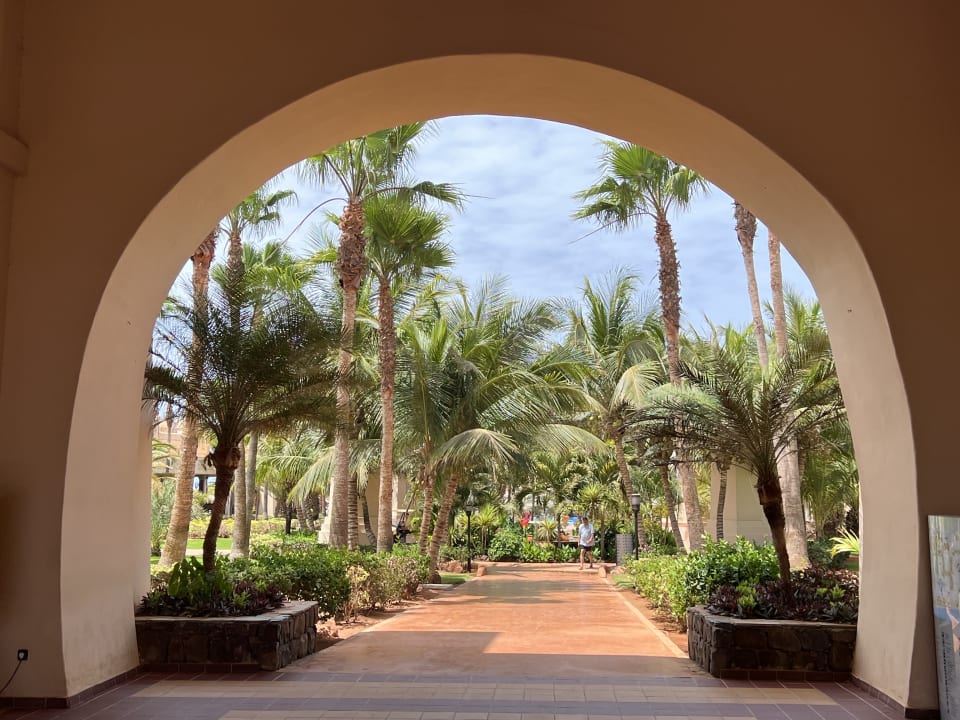 Gartenanlage Hotel Riu Touareg