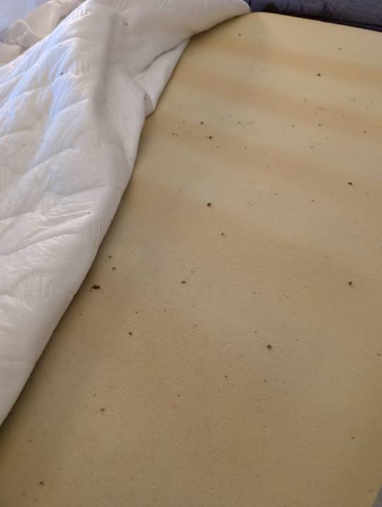 Zimmer TUI KIDS CLUB Alex Beach