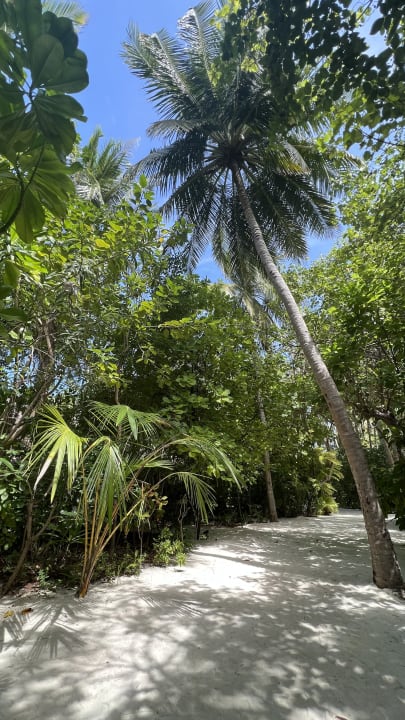 Gartenanlage Summer Island Maldives