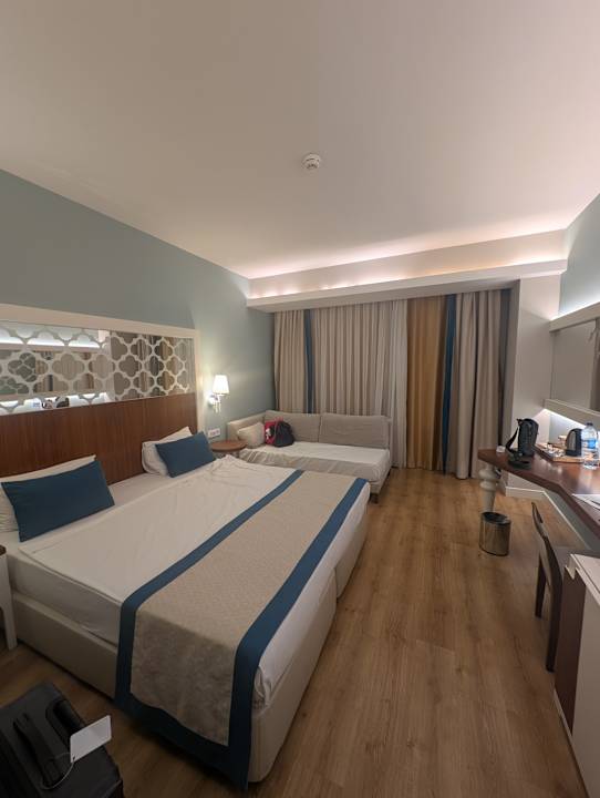 Zimmer Seashell Vega