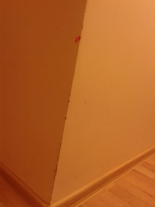 Abgestossene Wände Pension Alpha Frankfurt City