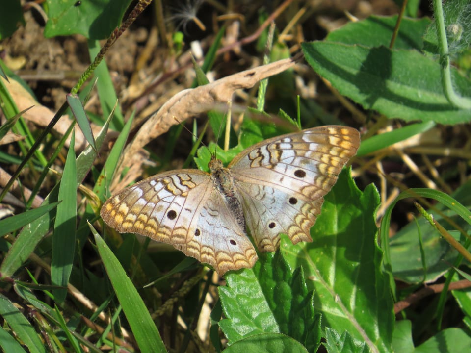 Gartenanlage Sol Rio De Luna y Mares