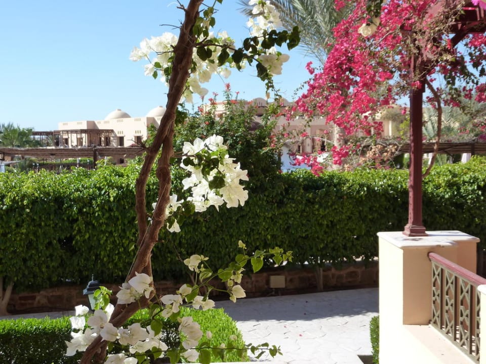 Blick von der Veranda Steigenberger Coraya Beach - Adults only