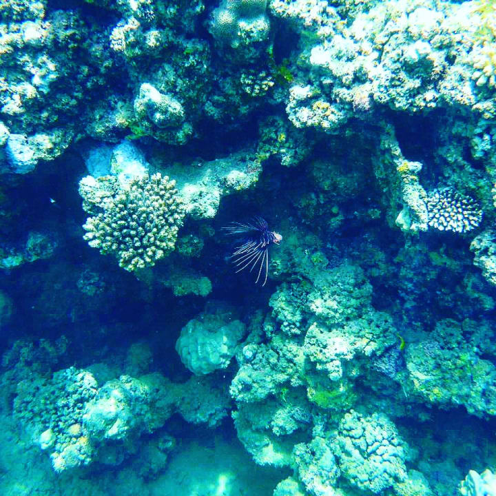 Strand Three Corners Equinox Beach Resort