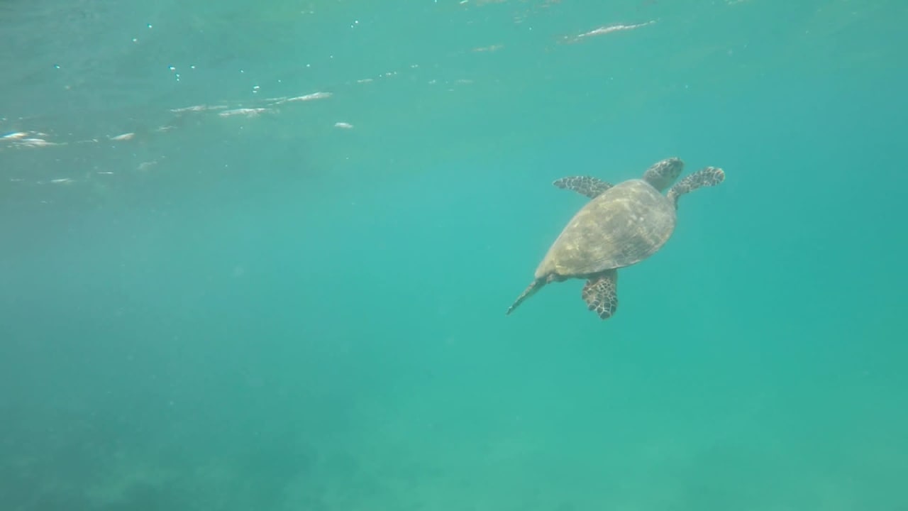 Sport & Freizeit Cleopatra Luxury Resort Makadi Bay