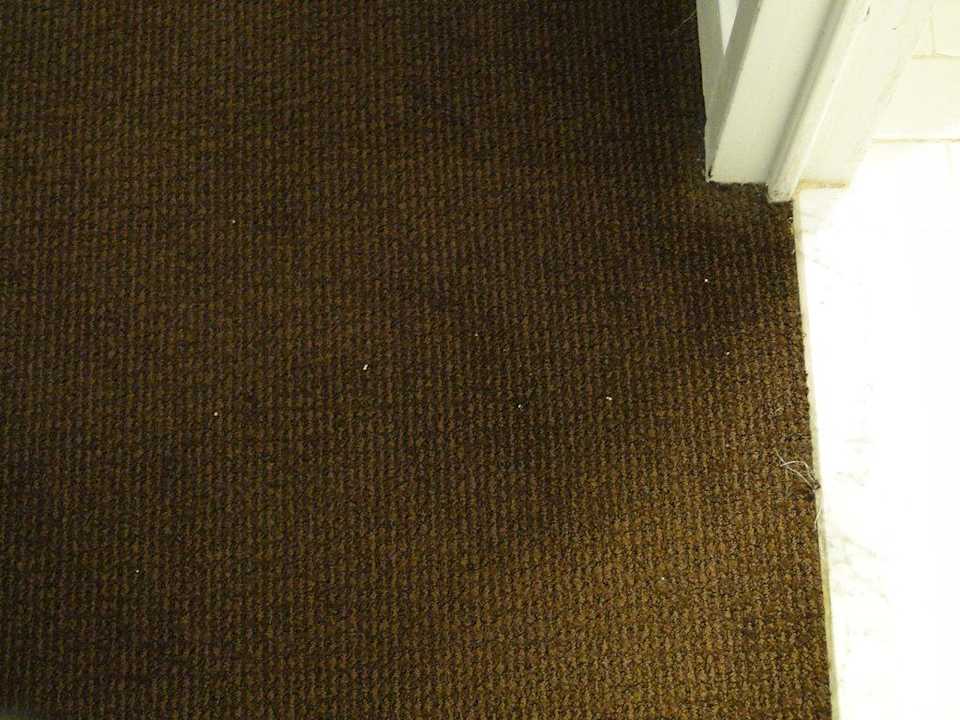 Teppichfussel und Flecken Hotel Le Méridien New Orleans