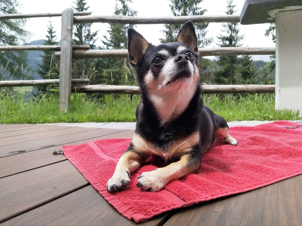 Sonstiges Chalets Almidylle