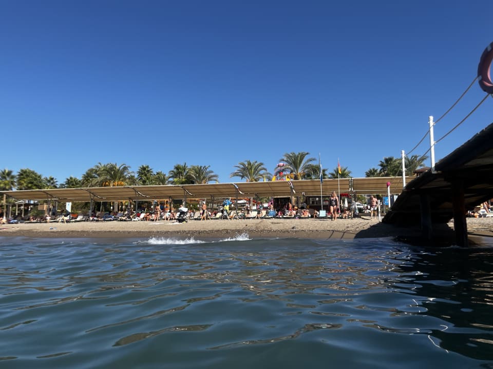 Strand Crystal Family Comfort Collection