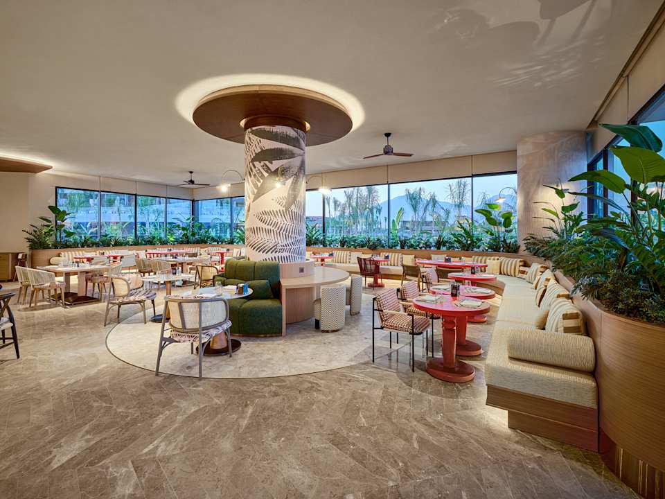 Gastro XO Cape Arnna