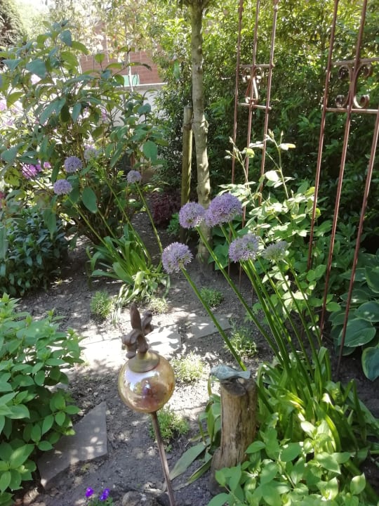 Gartenanlage Ferienwohnung Anne