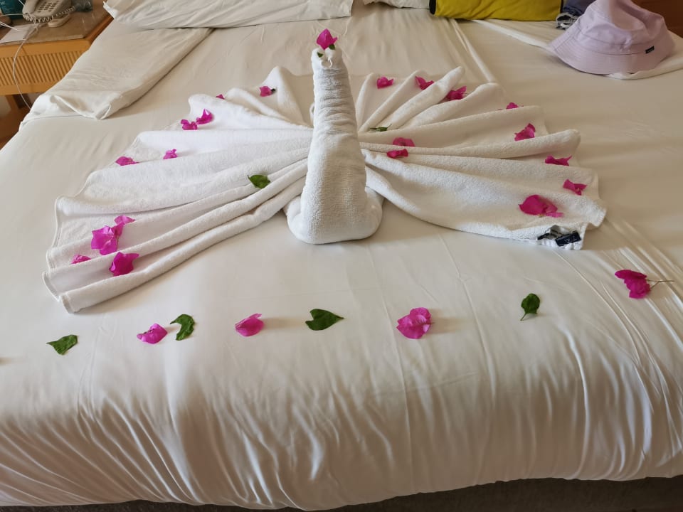 Zimmer Hotel JAZ Makadi Star & Spa