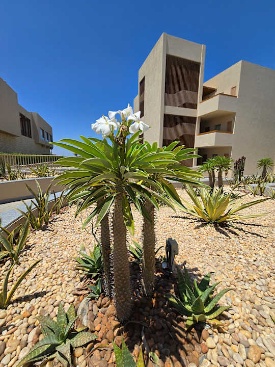 Gartenanlage JAZ Elite Riviera