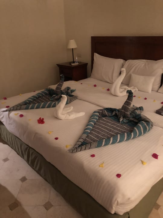 Zimmer Ghazala Gardens