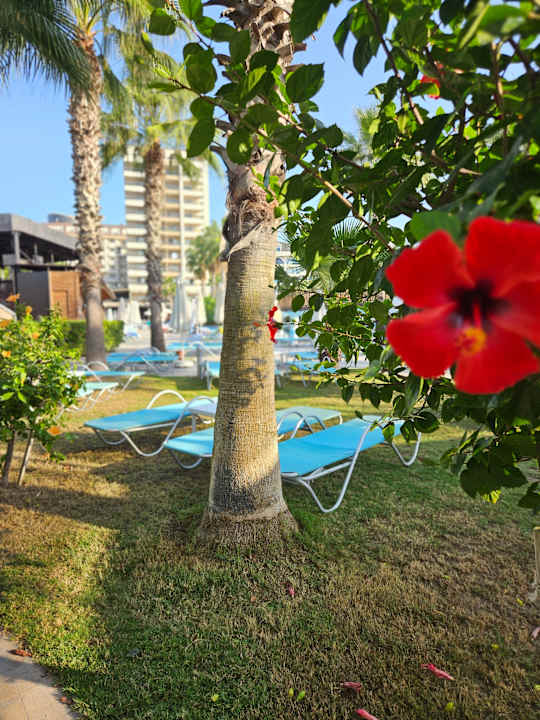 Gartenanlage Saturn Palace Resort Hotel