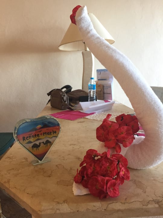 Zimmer Pickalbatros Citadel Resort