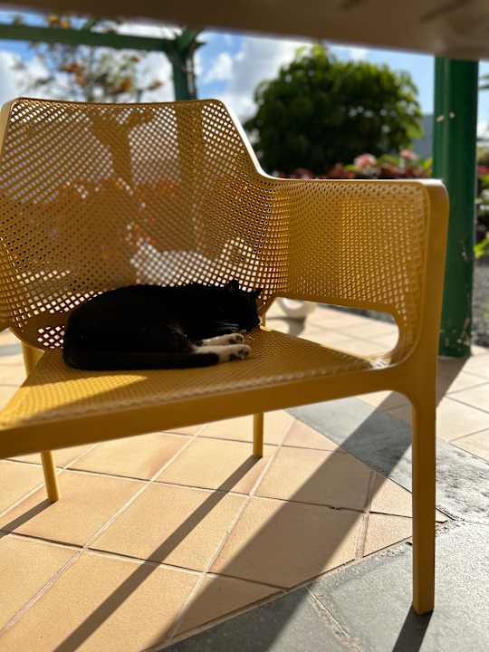 Sonstiges Bungalows Cordial Sandy Golf