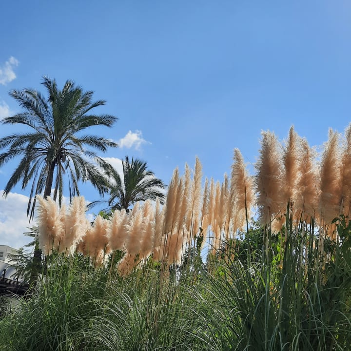 Gartenanlage Sunis Elita Beach Resort & Spa