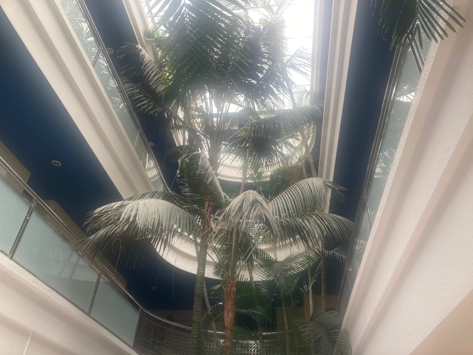 Lobby IFA Villas Altamarena