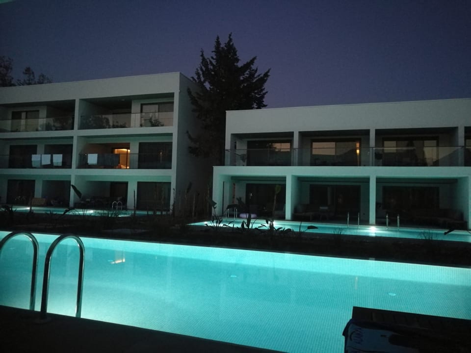 Zimmer Paloma Finesse