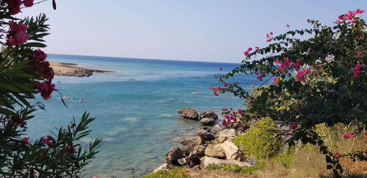 Ausblick Crystal Springs Beach Hotel