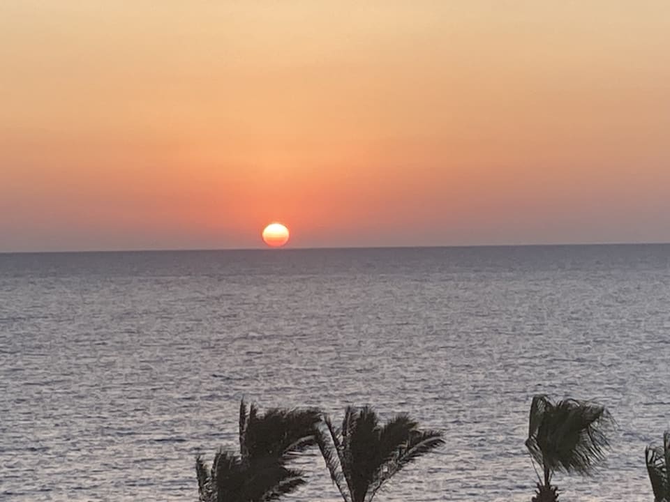 Ausblick Pickalbatros Citadel Resort