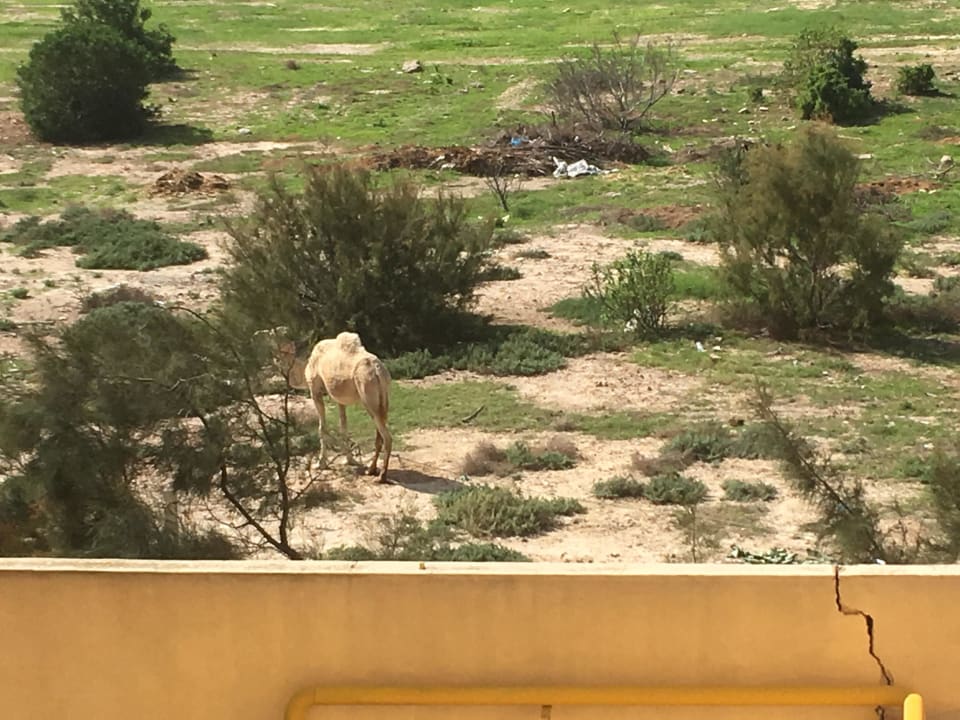 Müll überall. Skanes Serail Aquapark